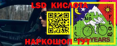 apvp Можга