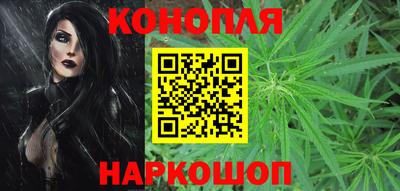 apvp Можга