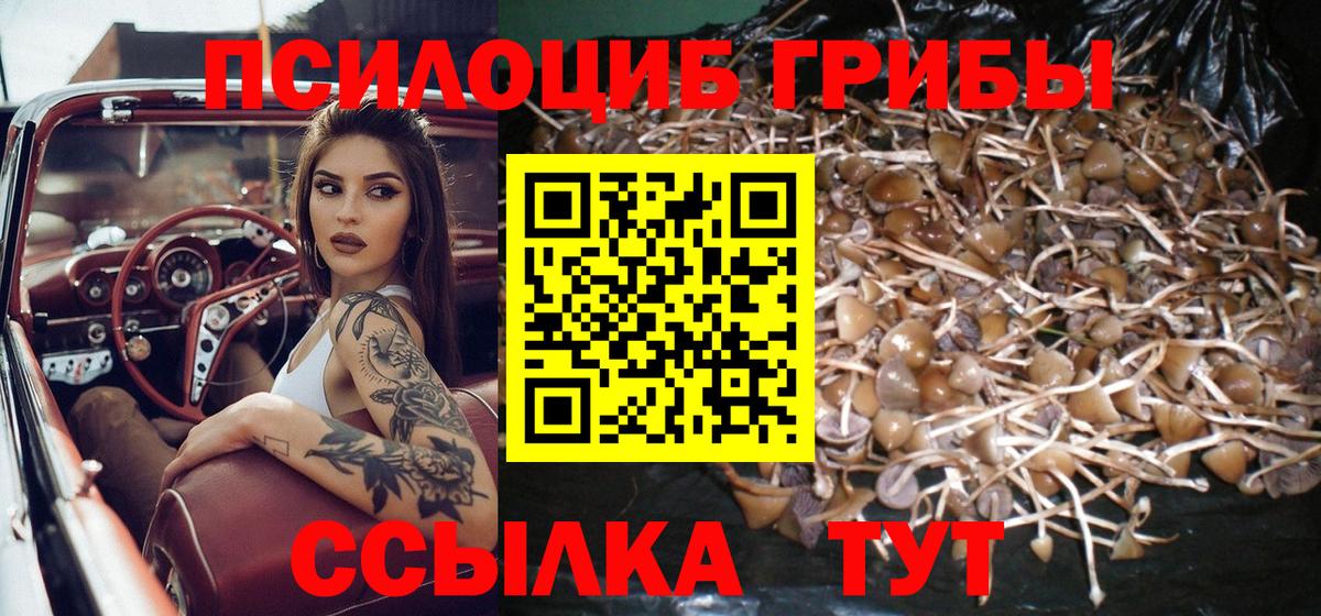 Псилоцибиновые грибы Cubensis  Галлюциногенные грибы Psilocybe  Елец  Вход с VPN 